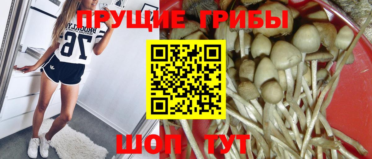 Галлюциногенные грибы MAGIC MUSHROOMS Алатырь