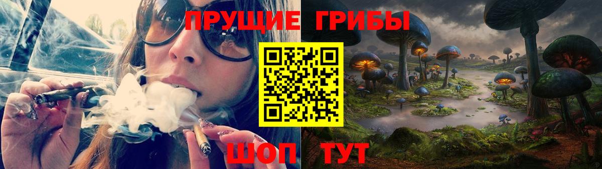 Псилоцибиновые грибы мицелий  Вход с VPN  Алатырь 